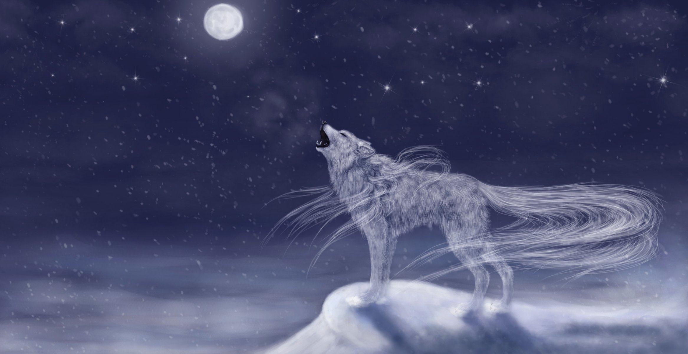 kunst tier wolf heult wach mond himmel nacht schnee kälte