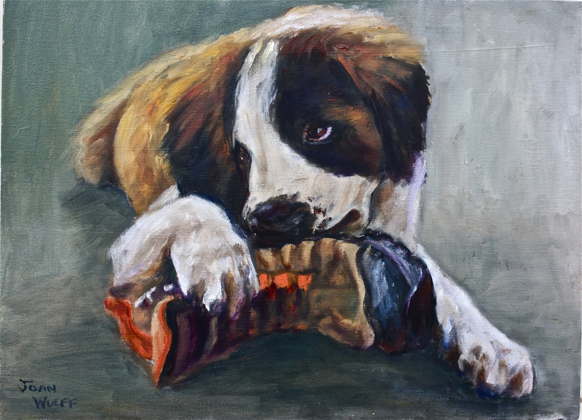 pintura perro animal mirada orejas patas roe zapato