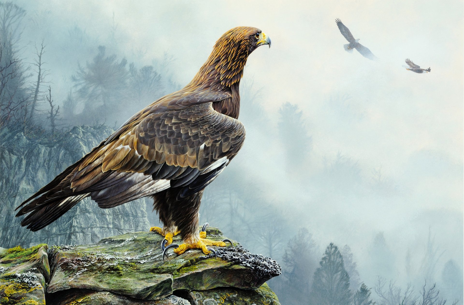 alan m. hunt goldener adler malerei vogel adler fliegen felsen bäume nebel natur landschaft