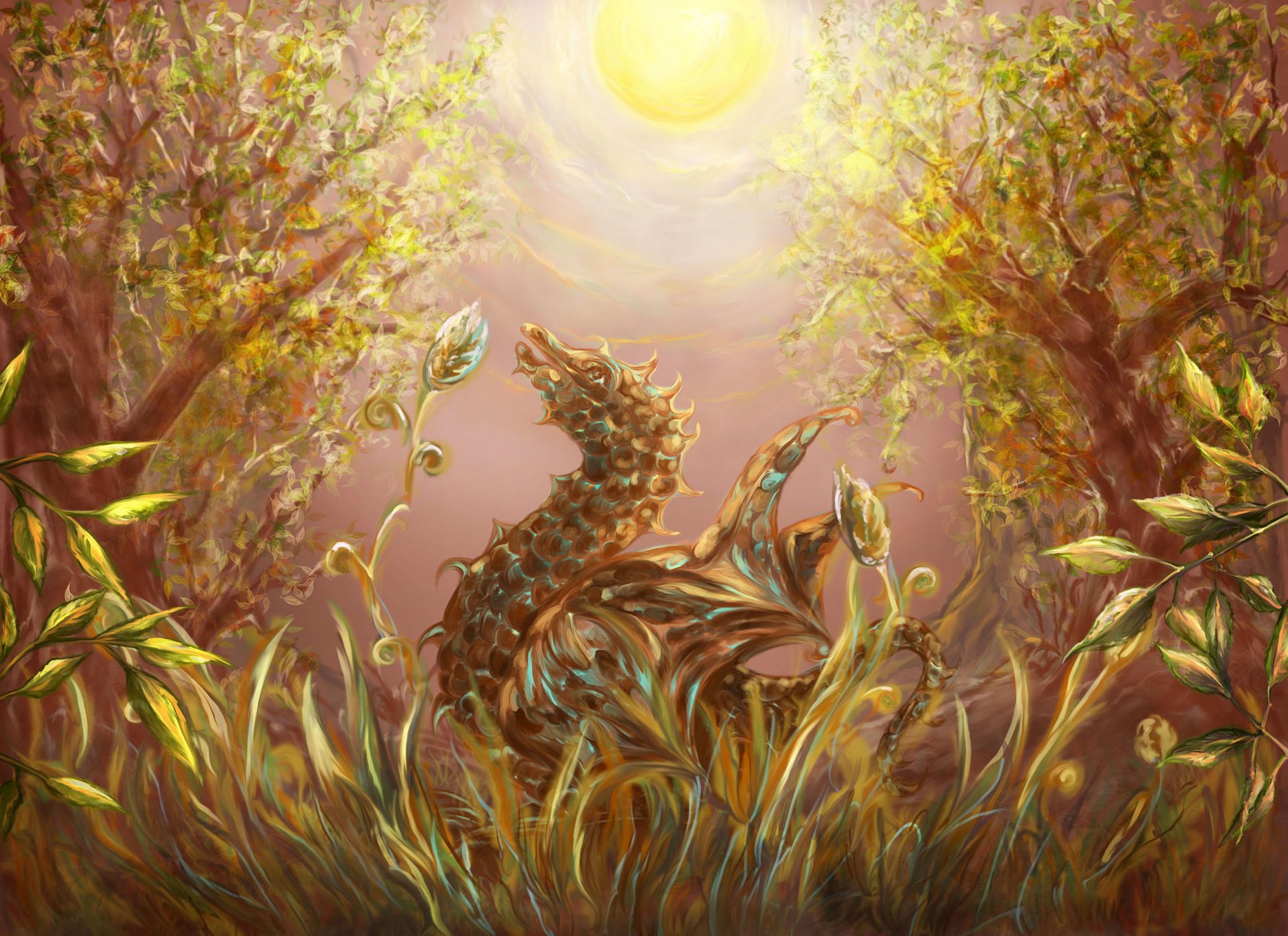 forest tree grass dragon sun light