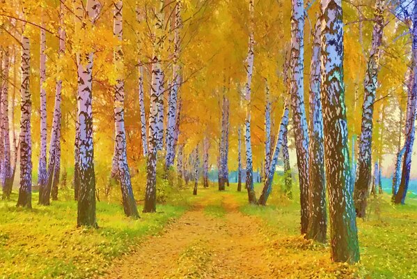 Picture of autumn. The road in the birch grove