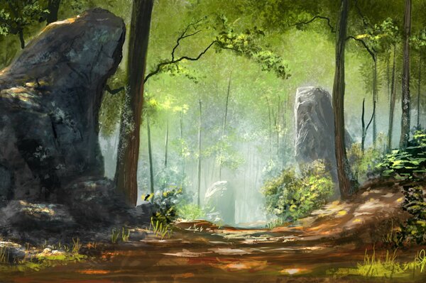 Forest landscape with boulders