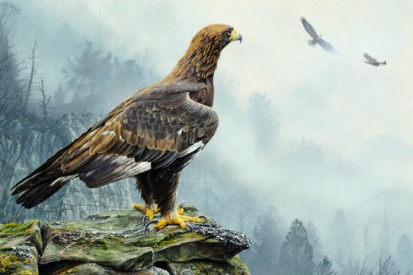 Aquila reale su una roccia. Alan M. Hunt