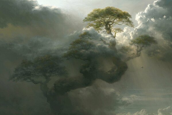 Ein riesiger Baum, der seine Zweige in die Wolken zieht