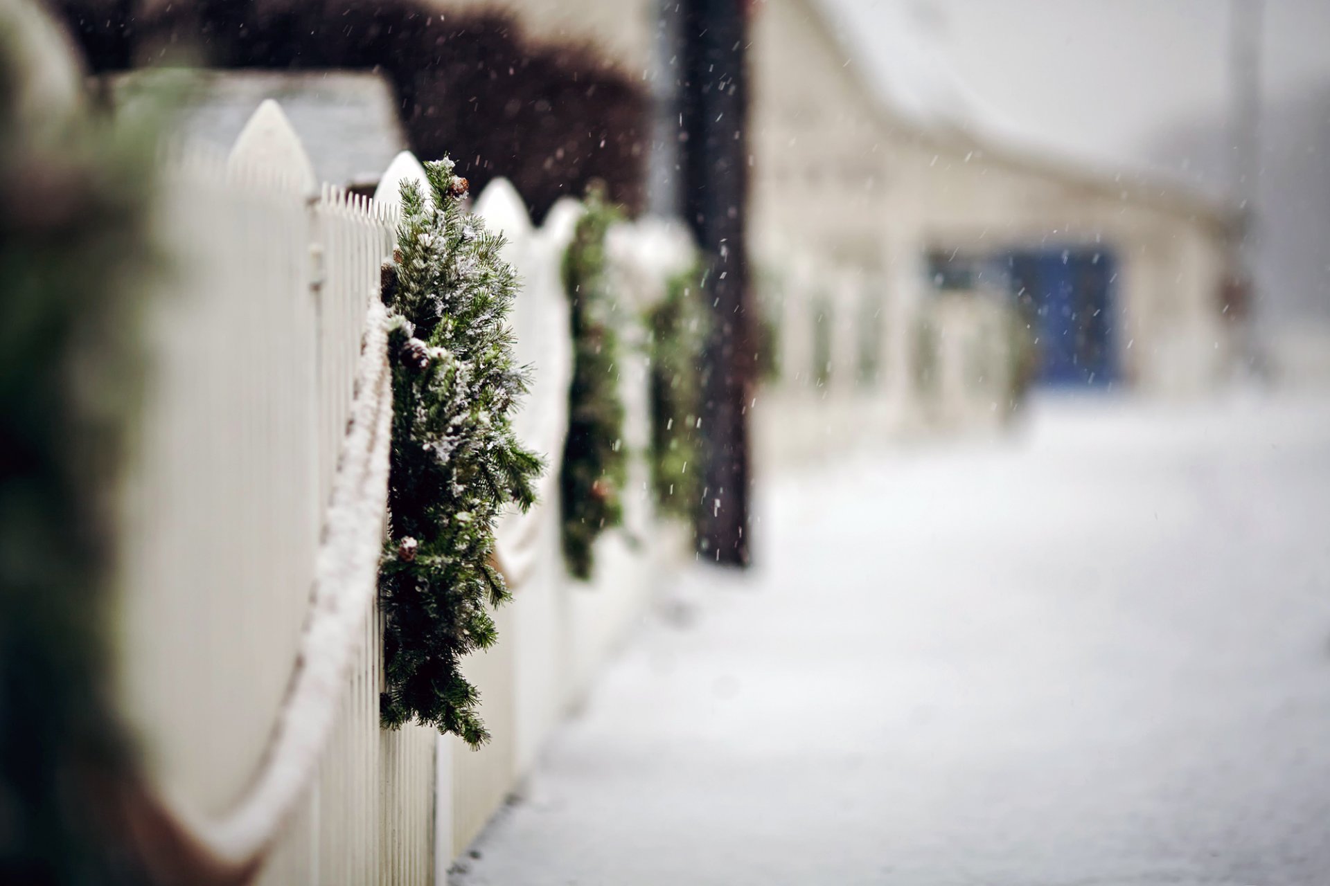 fence fence wreaths branches spruce road snow snowflakes winter