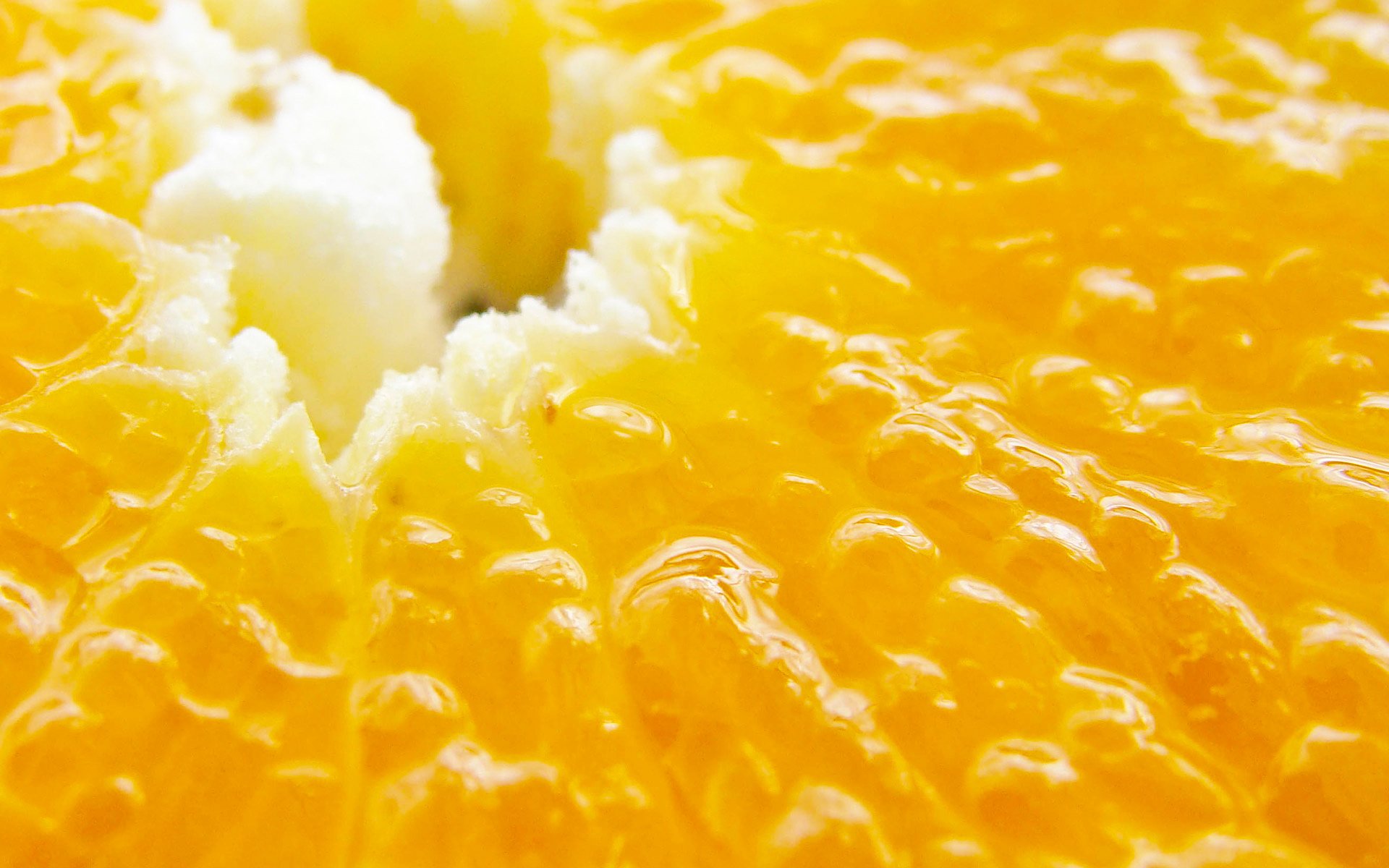 close up orange juicy pulp