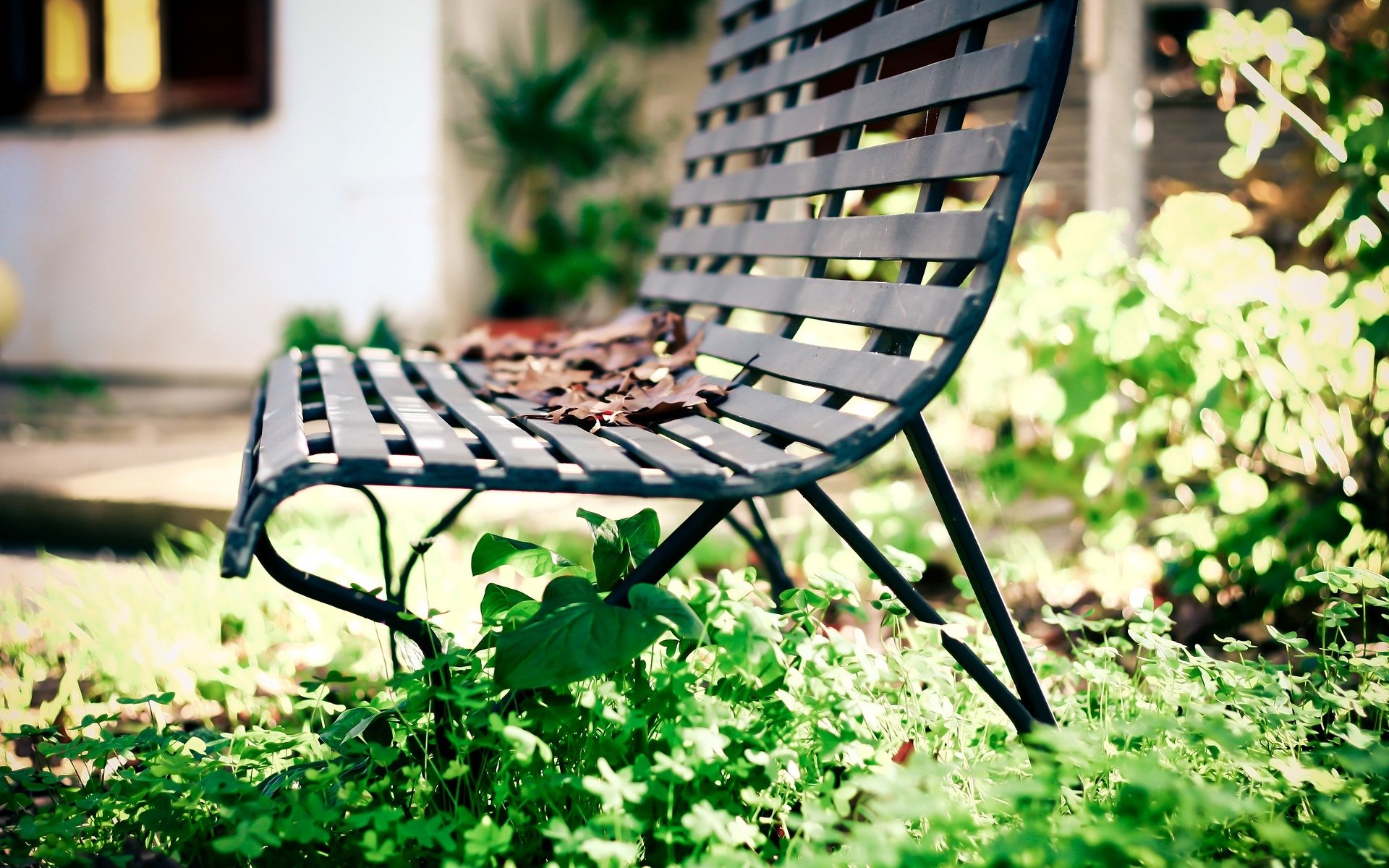 macro leaves leaves leaf bench bench bench grass greenery macro leave background wallpaper widescreen fullscreen widescreen widescreen