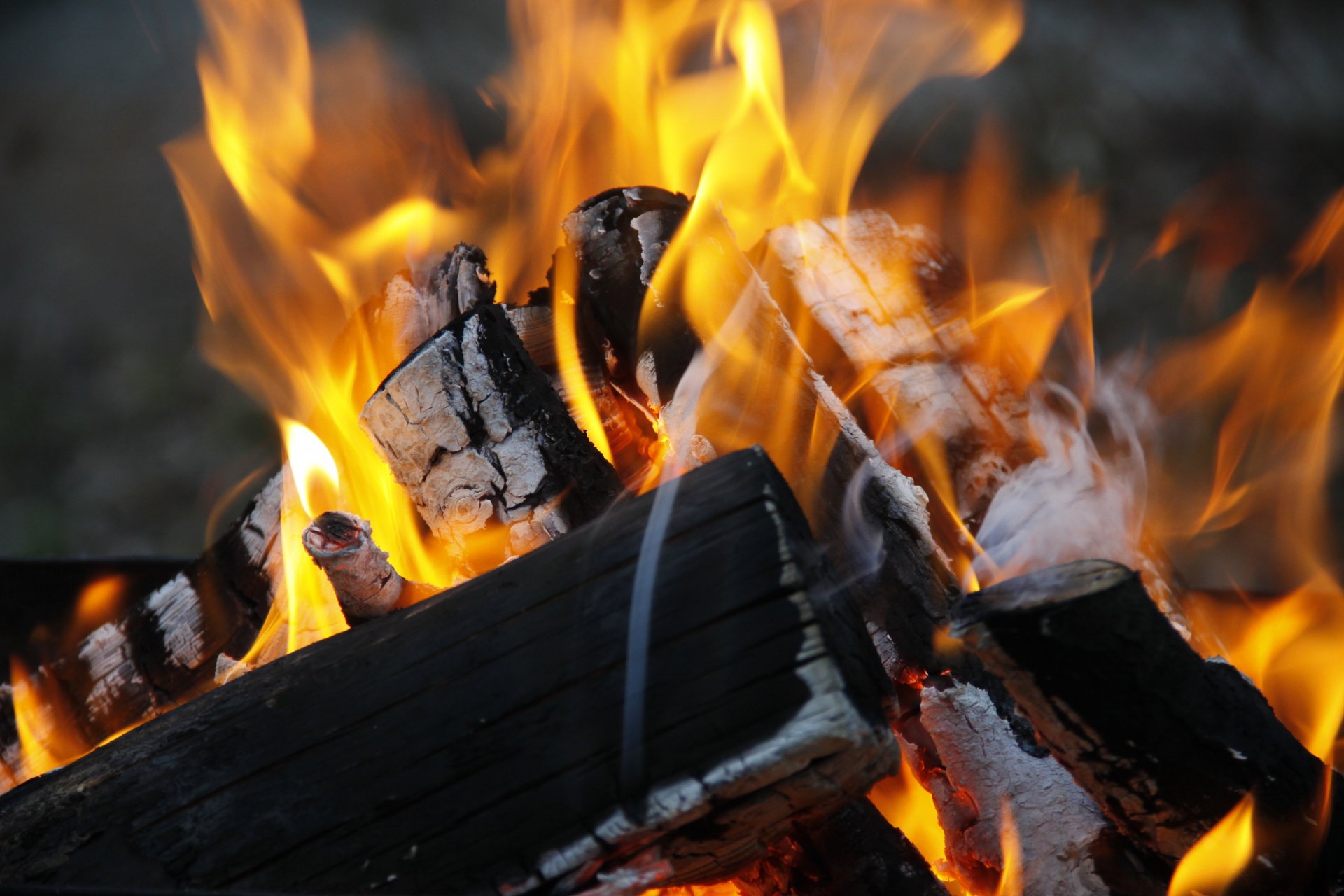 fondo papel pintado varios hoguera fuego naturaleza quema madera leña gorenja