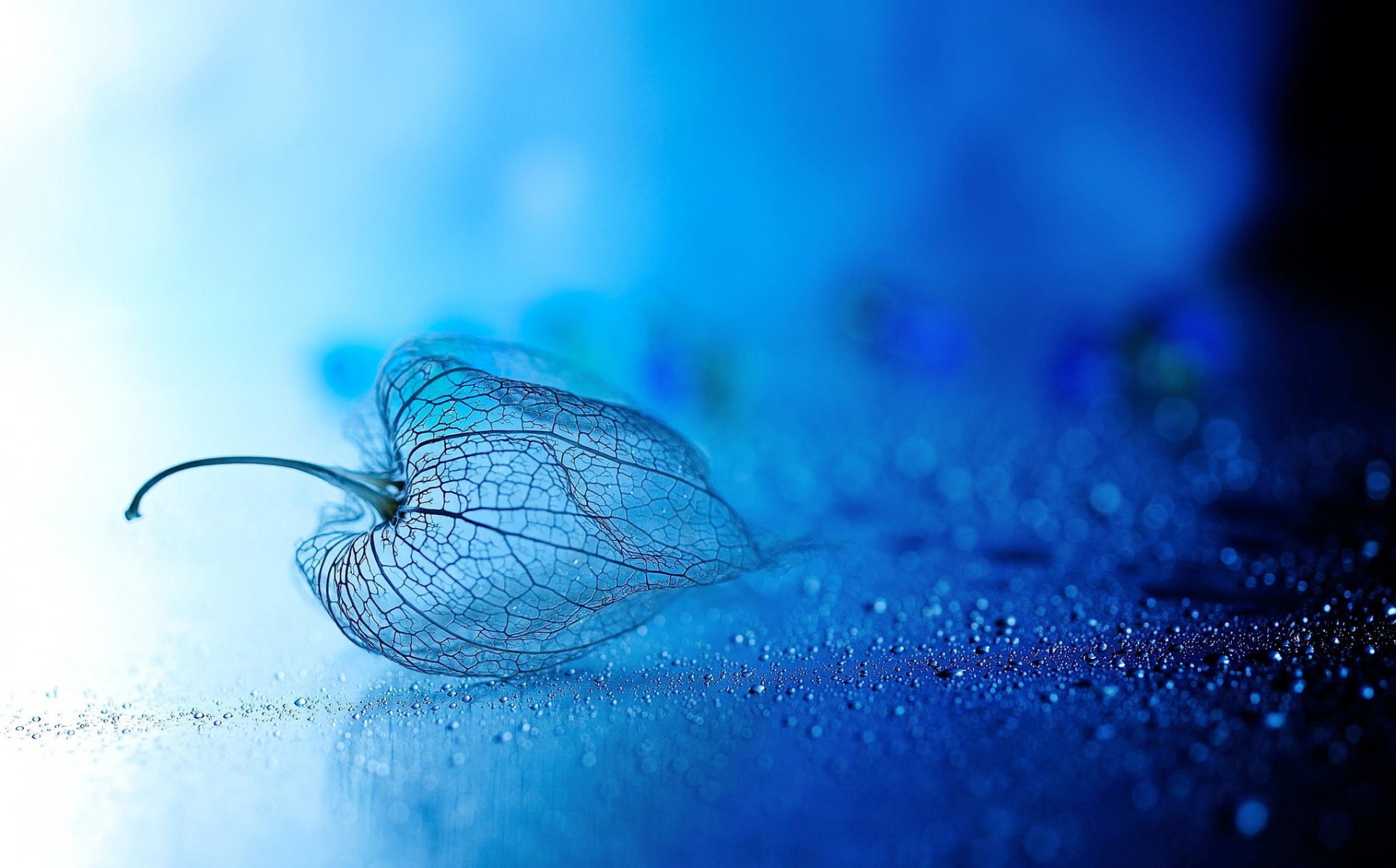 blue background drops streaks bokeh