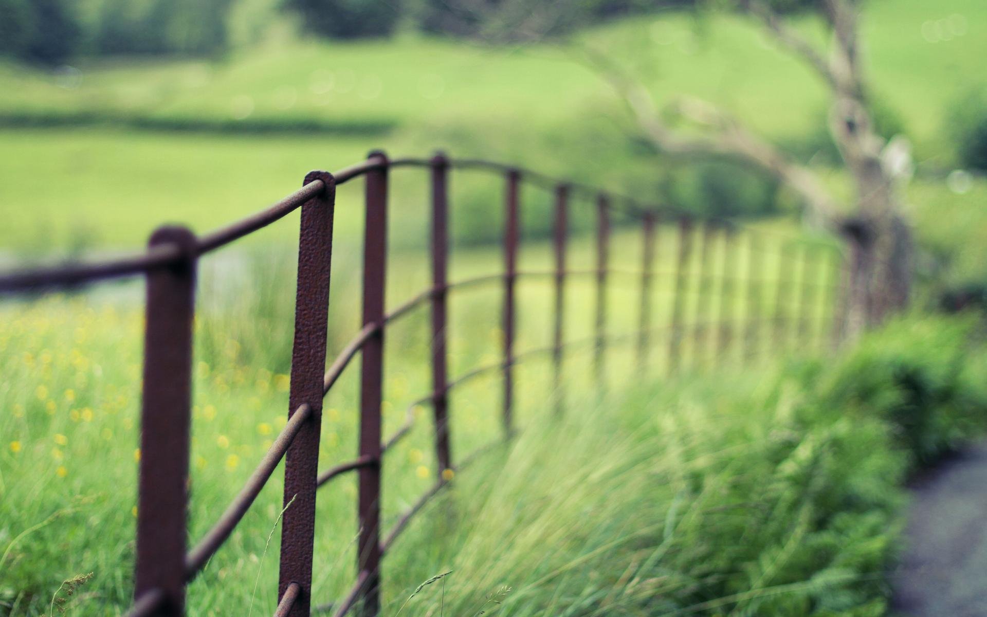 close up fence fencing green nature blur macro wallpaper widescreen full screen hd wallpapers background