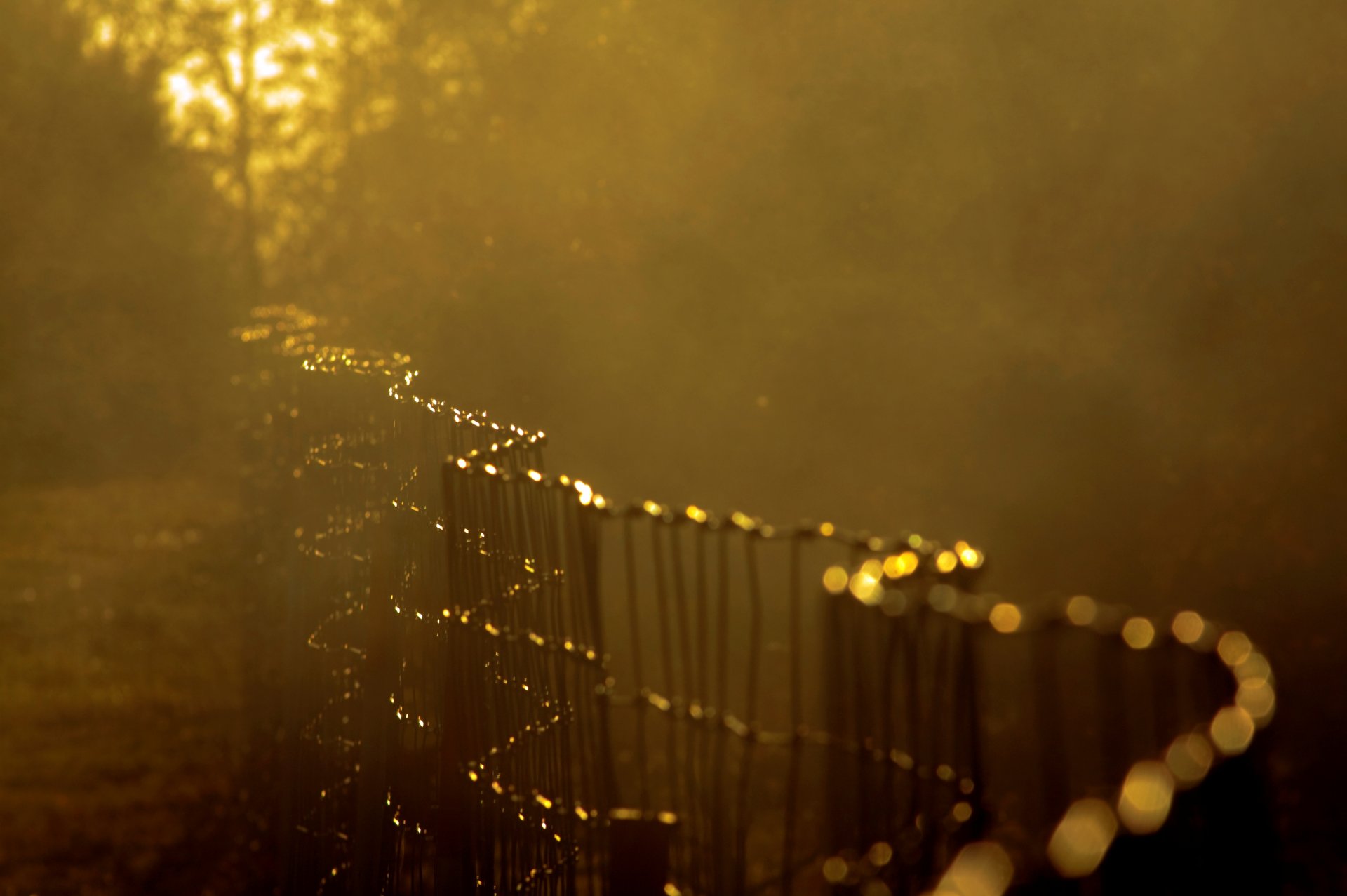 close up fence fencing net blur tree sun macro background wallpaper widescreen full screen hd wallpaper