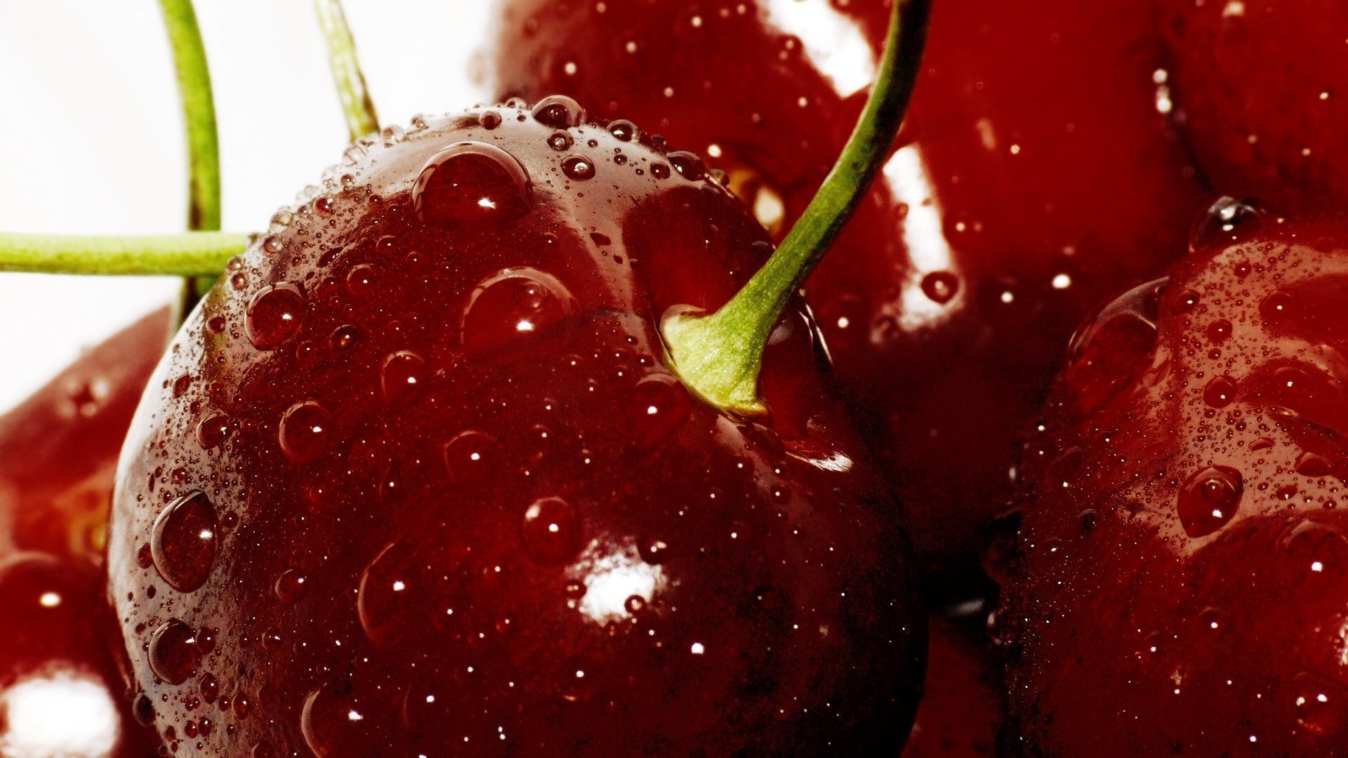 makro kirsche rot beeren tropfen