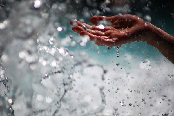 Gocce d acqua alimentate a mano bagnata