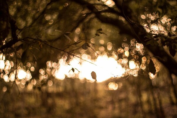 Unschärfe im Bokeh-Stil