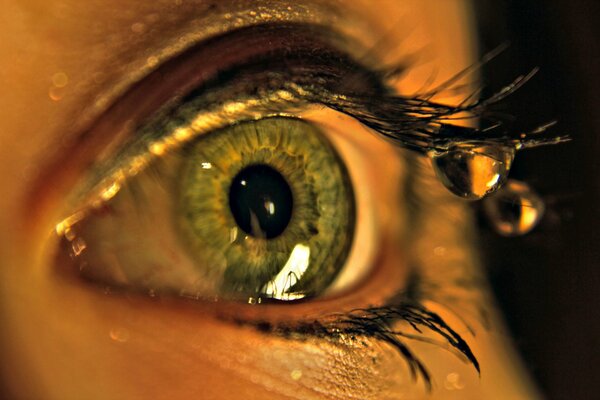 Makrofoto des Auges mit einem Tropfen Wasser auf den Wimpern