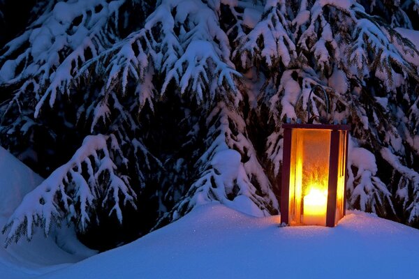 Lanterne Vintage brûlant dans la neige sous l épinette