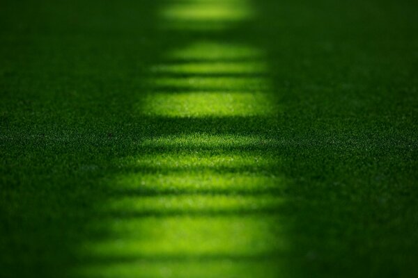 Stadium in the Emirates field with grass lawn macro