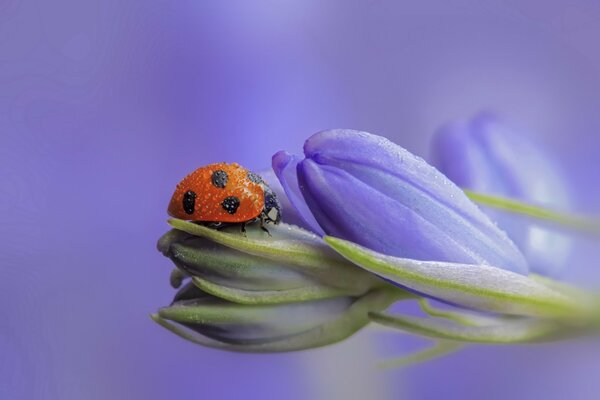 Beauté et tendresse dans une photo