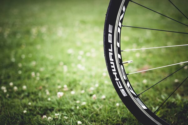 Paseos en bicicleta por la hierba verde