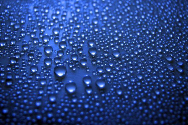 Transparent water drops on a blue background