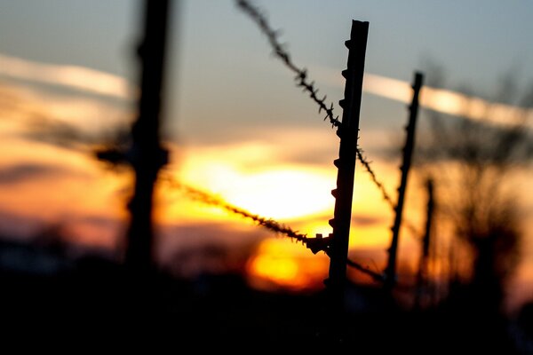 A black fence in the sunset