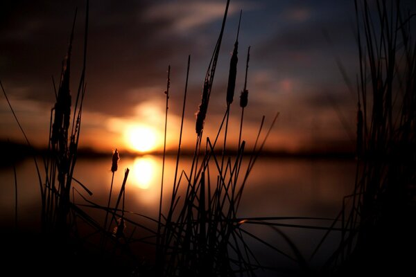 Belle vue du coucher de soleil sur fond de lac