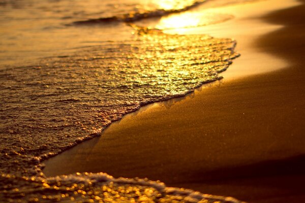 Puesta de sol dorada en la playa de arena