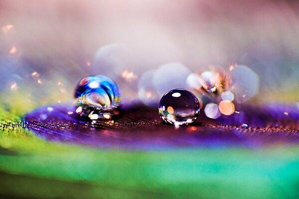 Gotas que reflejan un arco iris maravilloso