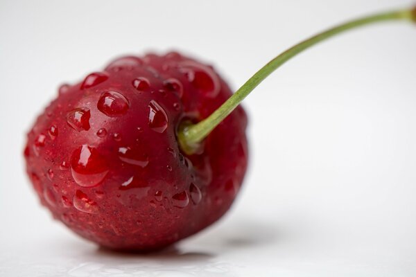 Gotas de agua en una manzana roja hermosa