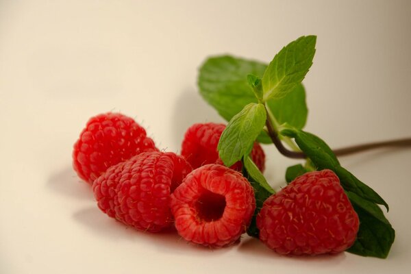 Frische Himbeeren mit Blättern liegen auf dem Tisch