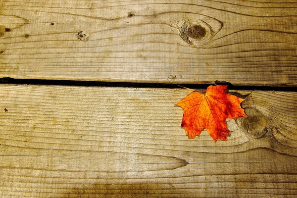 Foglia d acero arancione sdraiata su un tavolo di legno