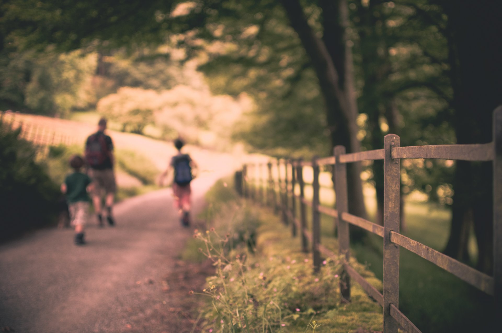 macro mood fence nature plants trees tree leaves leaves foliage road path path people man children kids kids sun background wallpaper widescreen fullscreen widescreen macro sheet