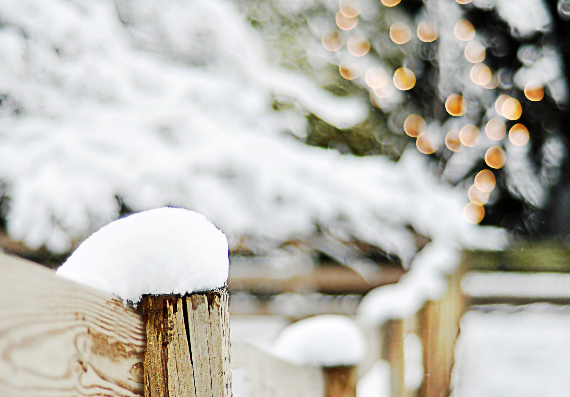 zaun holz bäume zweige schnee winter bokeh lichter unschärfe