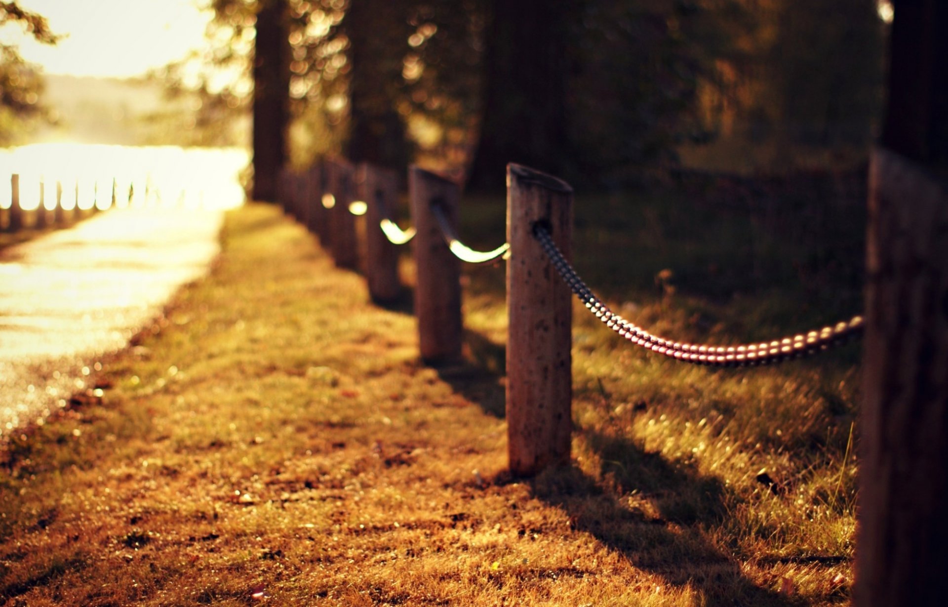 road grass lawn fence fence trees light nature autumn macro blur