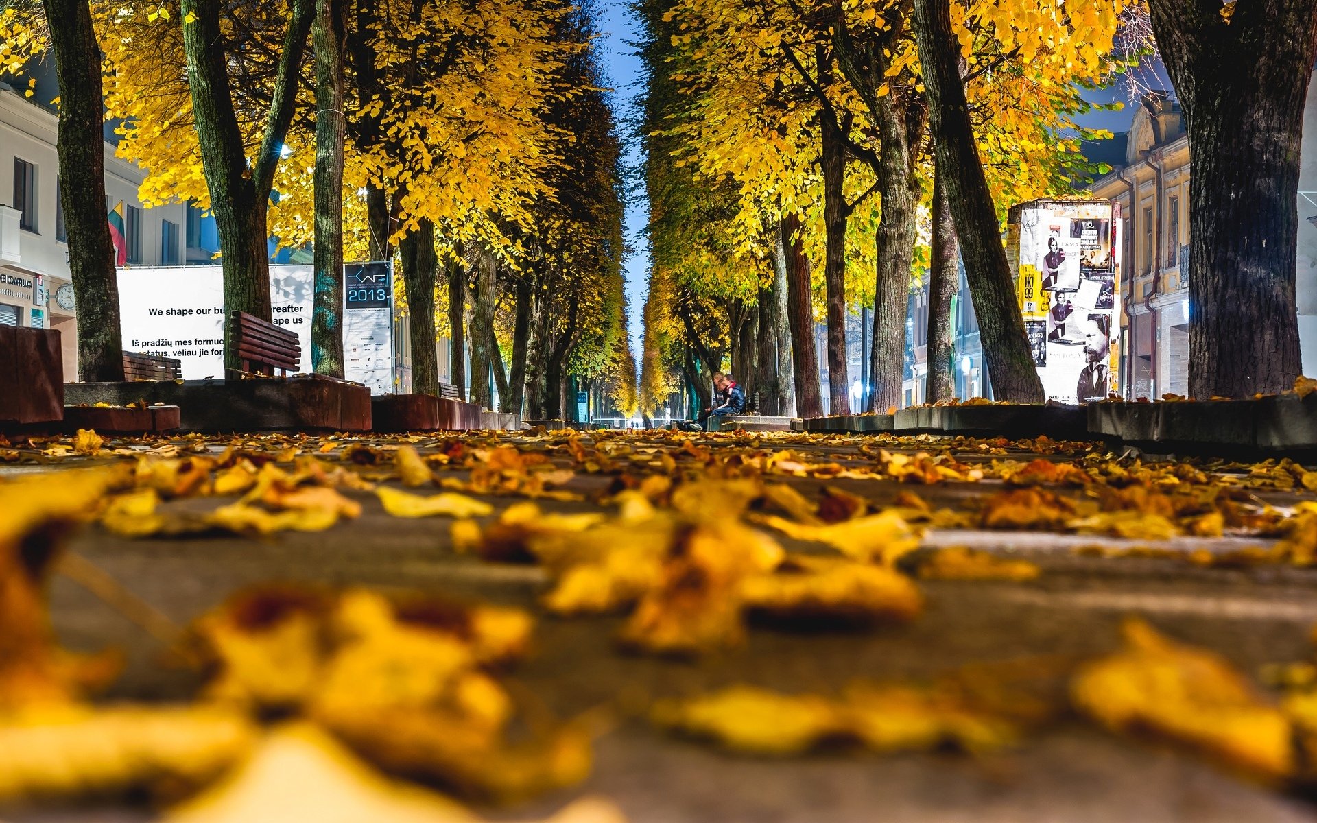 macro foglie foglie foglie giallo autunno macro albero alberi asfalto panchine panchine passerella città sfondo carta da parati widescreen schermo intero widescreen widescreen