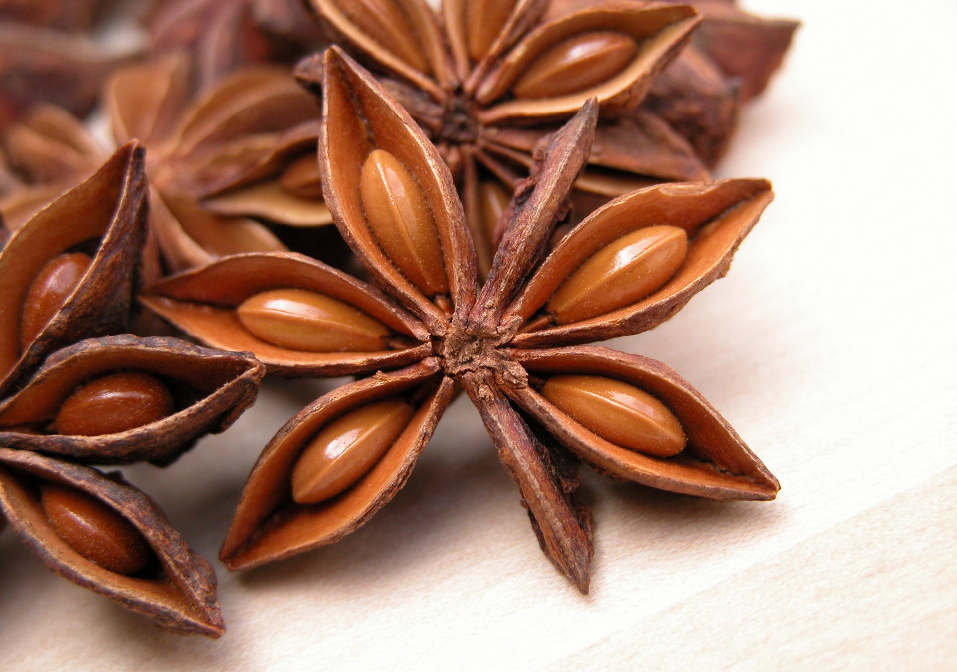 anise star anise stars fruit spice