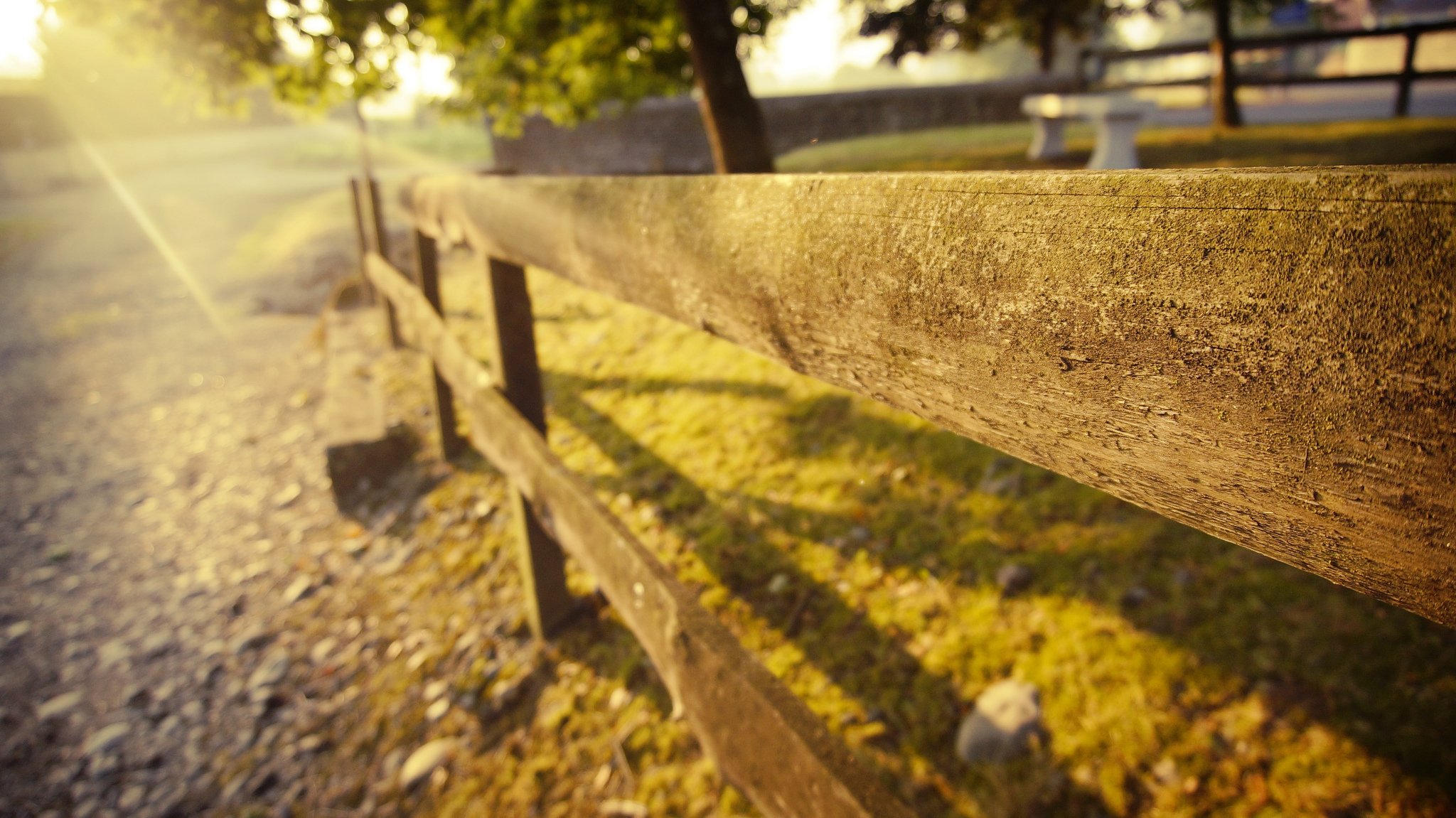 fence fence boards stones grass nature summer trees sun light