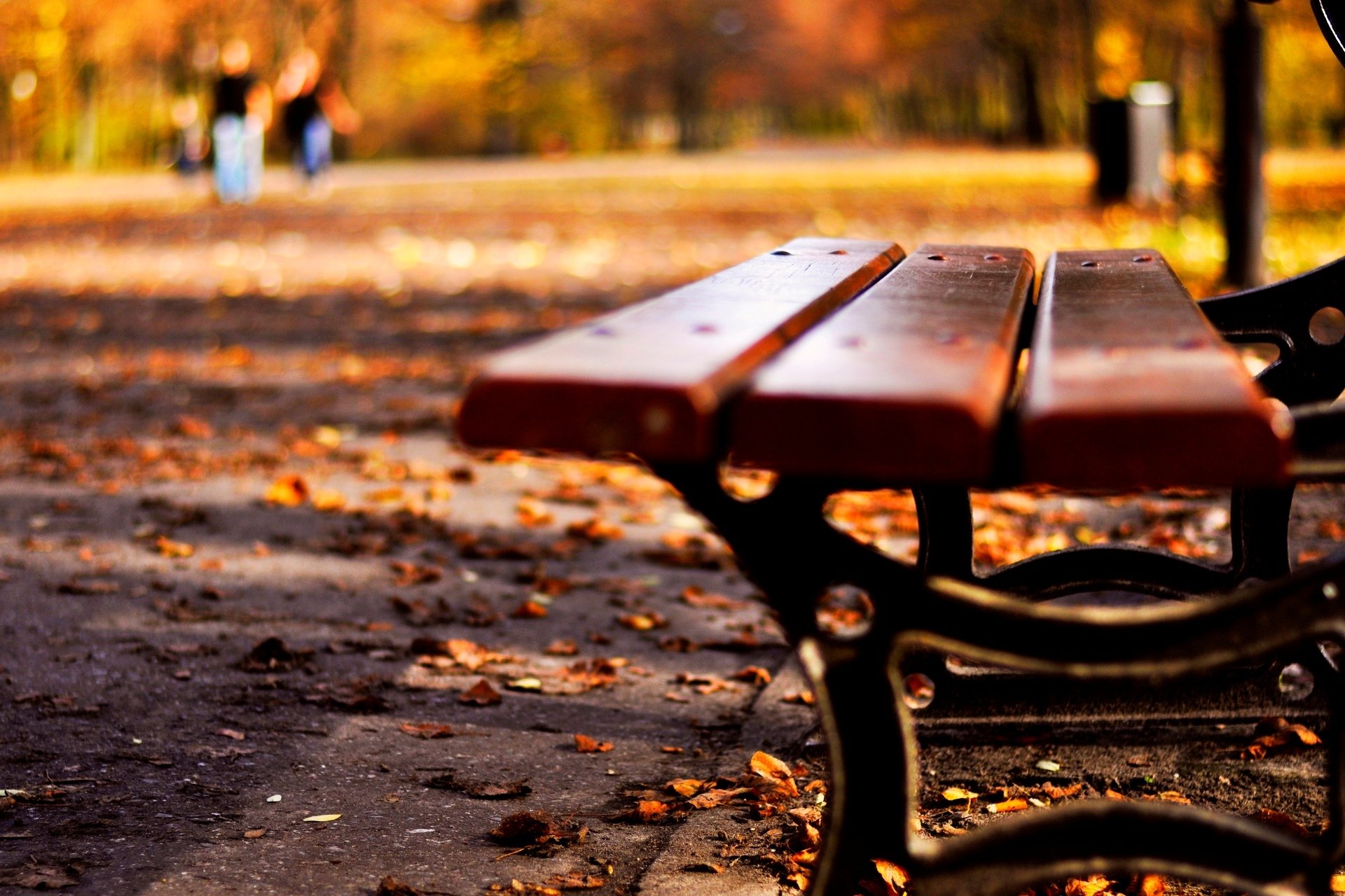 macro mood bench bench bench leaves leaf fall autumn yellow leaves nature macro background wallpaper widescreen fullscreen widescreen widescreen