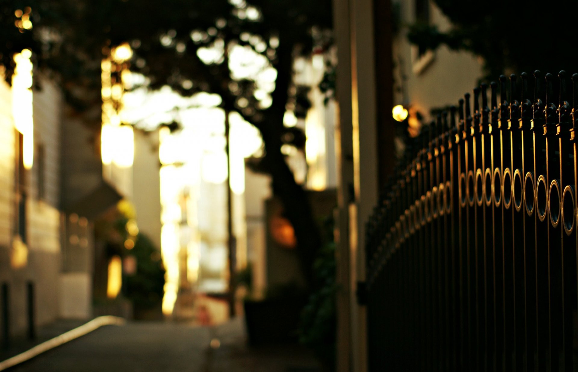 fence bars iron gate fence road trees evening street macro blur bokeh