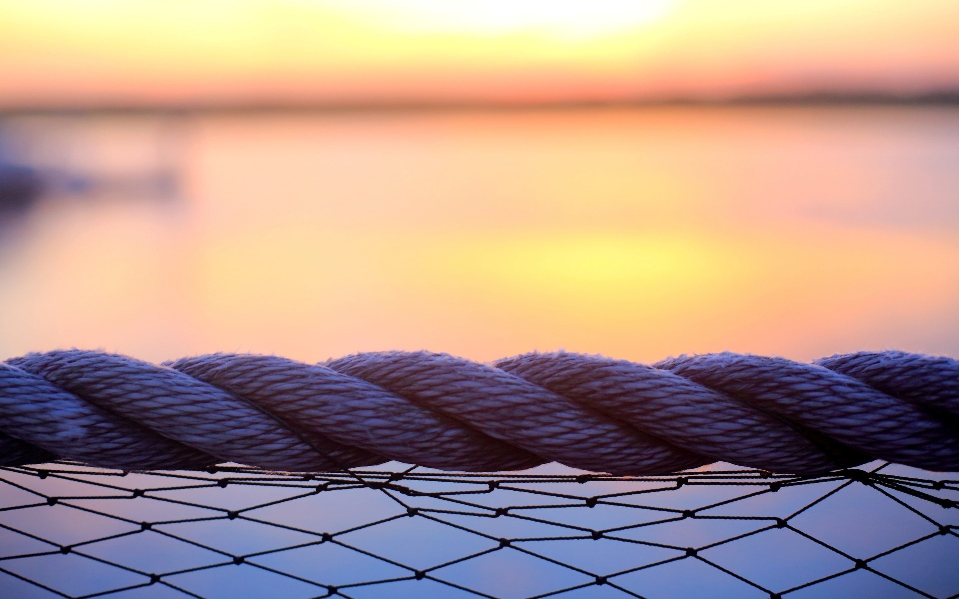 macro rope grid blur background flowers flower purple loneliness flower wallpaper widescreen fullscreen widescreen