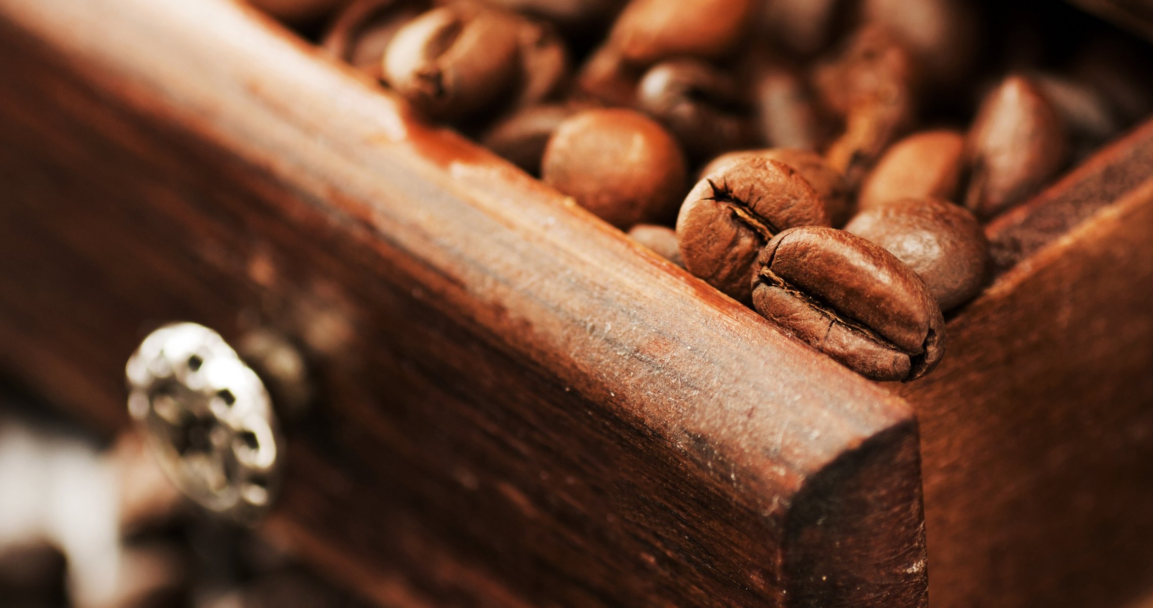 coffee grain close up locker