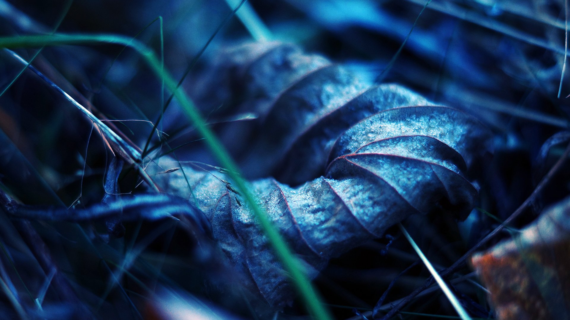 heet and dry autumn close up streaks land gra