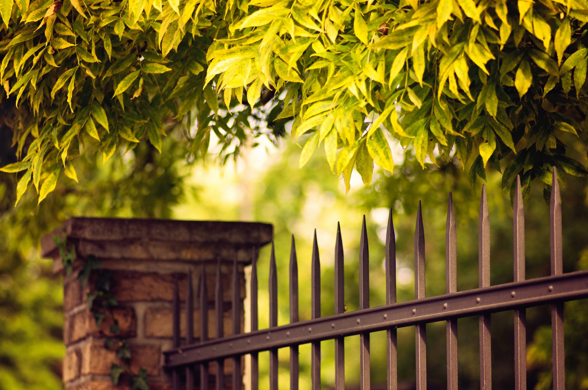 fence fence rods metal wood leaves green