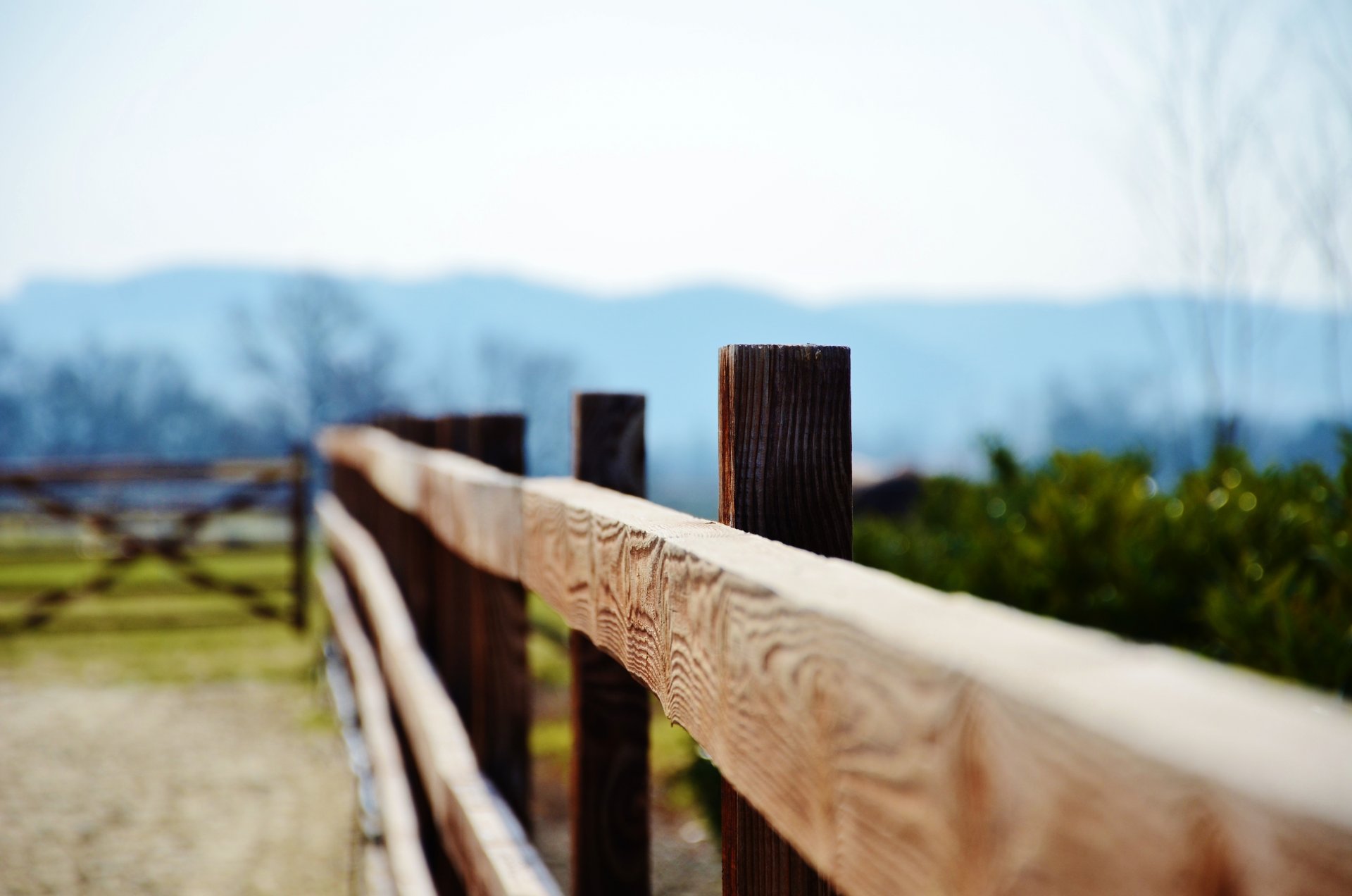 macro boards tree fence gate fence trees leaves leaves green foliage blur background wallpaper widescreen fullscreen widescreen leaf spot widescreen