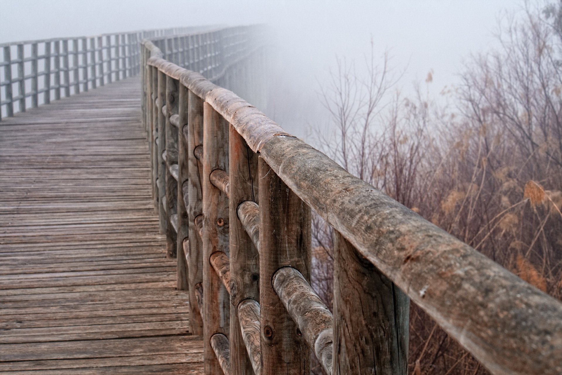 ringhiera ponte nebbia macro