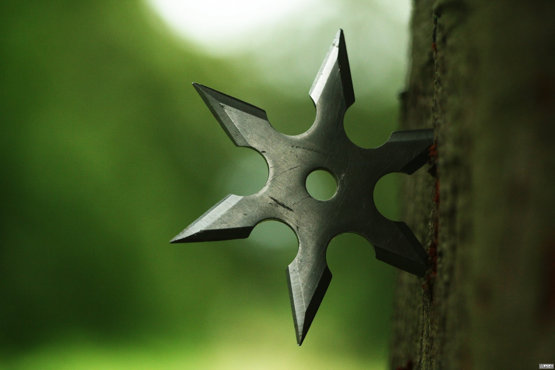 shuriken holz ninja metall