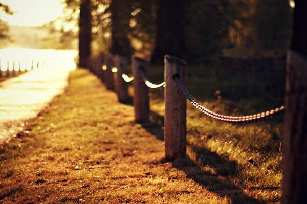 The road and fence illuminated by sunlight