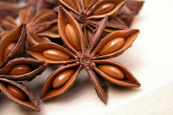 Anise fruits, spicy stars