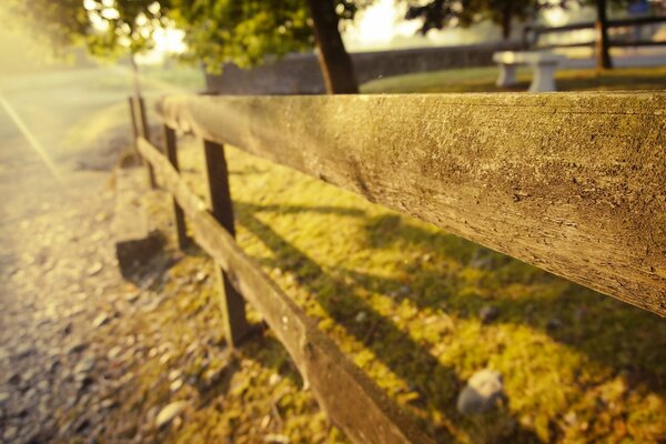 Забор доски камни трава солнце природа пейзаж лето