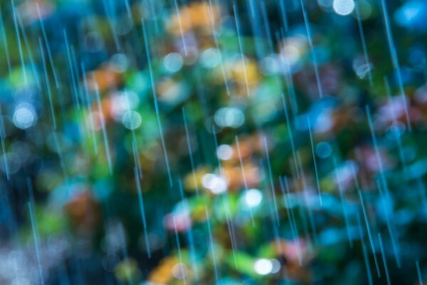 Lluvia de otoño, pronto crecerán hongos